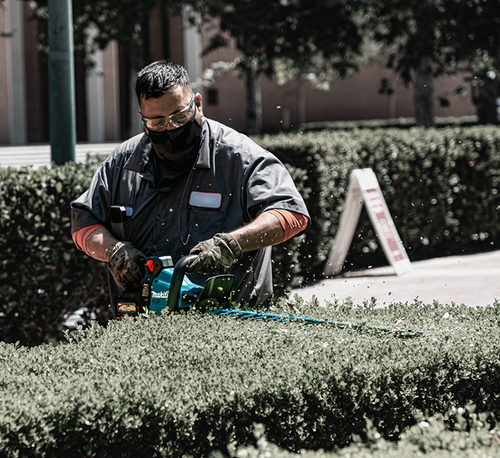 MAKITA XGT CORDLESS HEDGE TRIMMERS