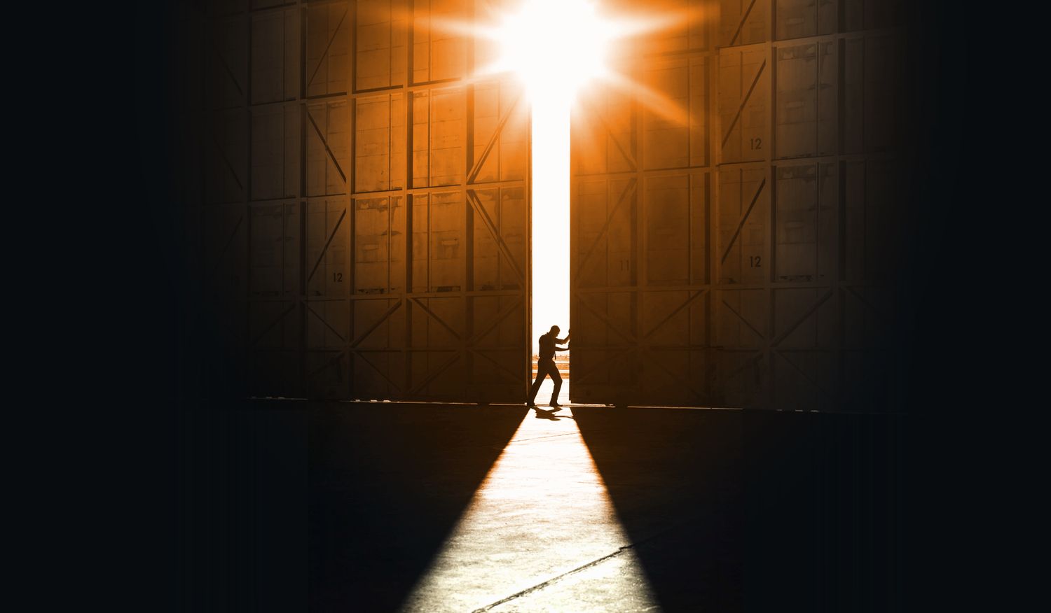 Redwood Collections Ltd