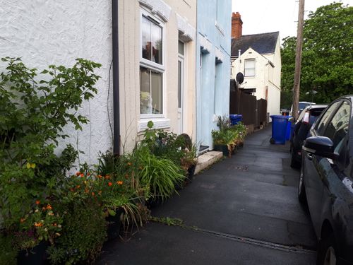 Newmarket Pilot Project