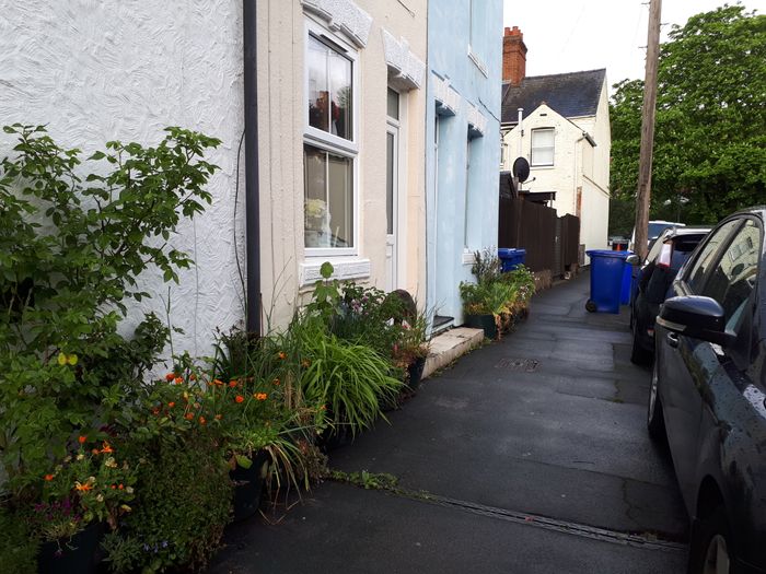 Newmarket Pilot Project