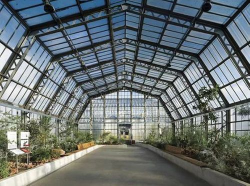 Right on Kew: Graham's glasshouse restoration | Construction Buzz #211