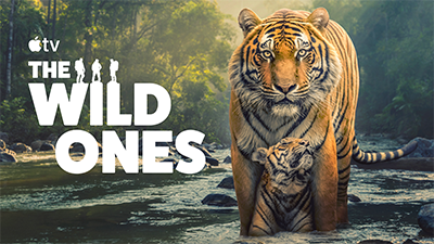 The Wild Ones