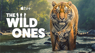 The Wild Ones