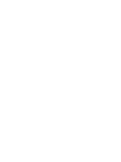 Icon - telephone