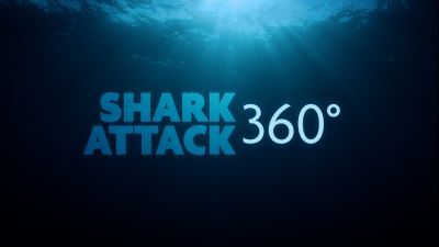 Shark Attack