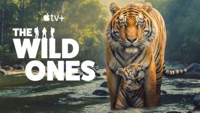 The Wild Ones