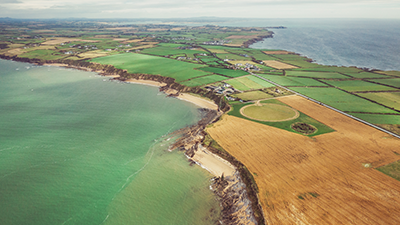 Wexford