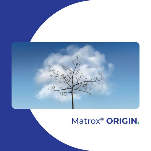 Matrox ORIGIN