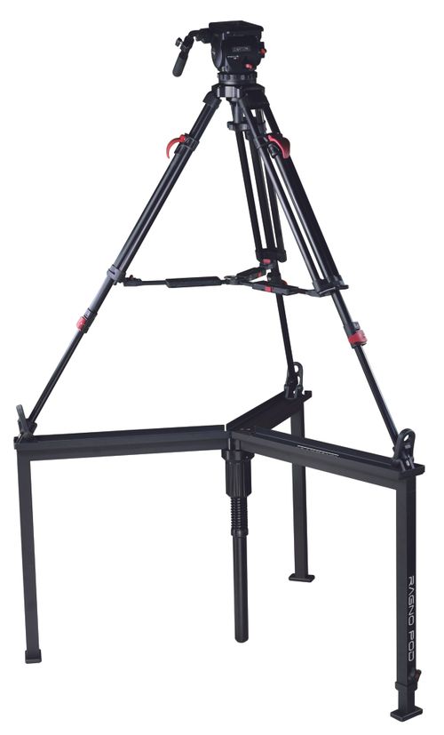 Cartoni Ragno Pod