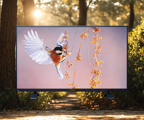 4K LCD High Dynamic Range Monitor