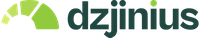 Company name - Dzjintonik