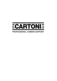 Company name - CARTONI S.p.A