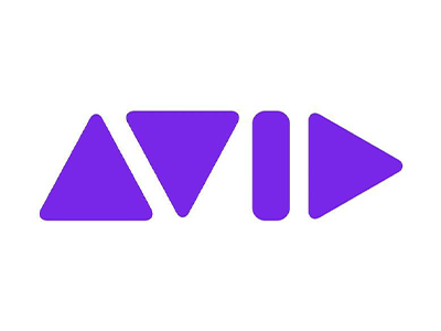 Avid investigates sale options