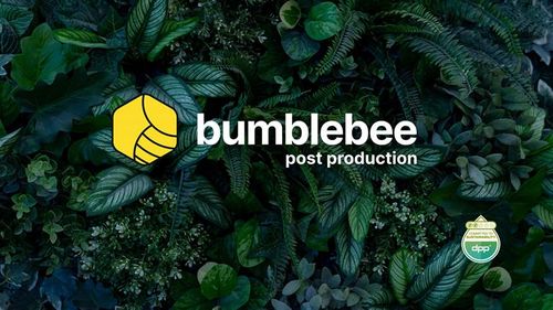 Zinc launches post service Bumblebee