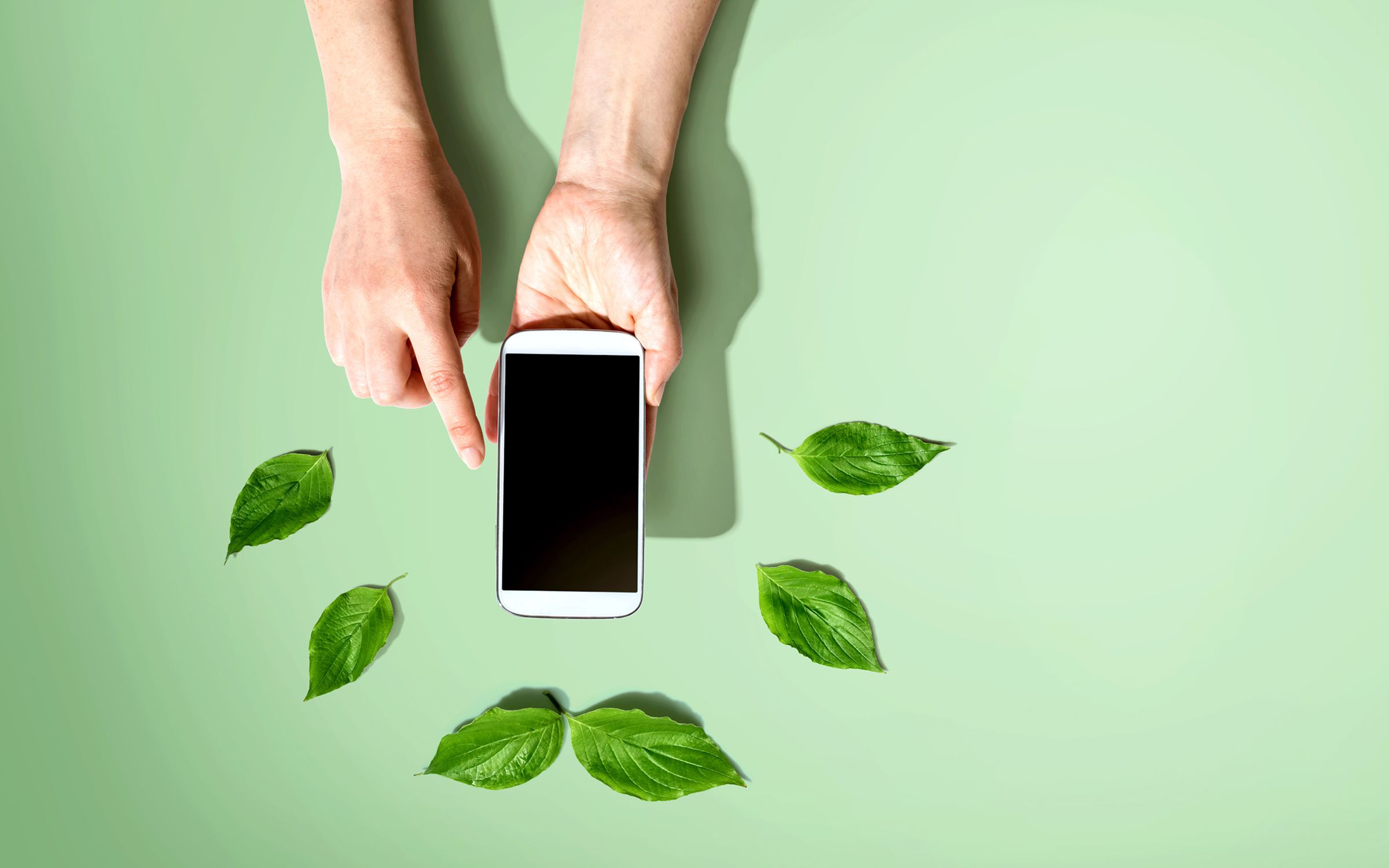 Sustainability