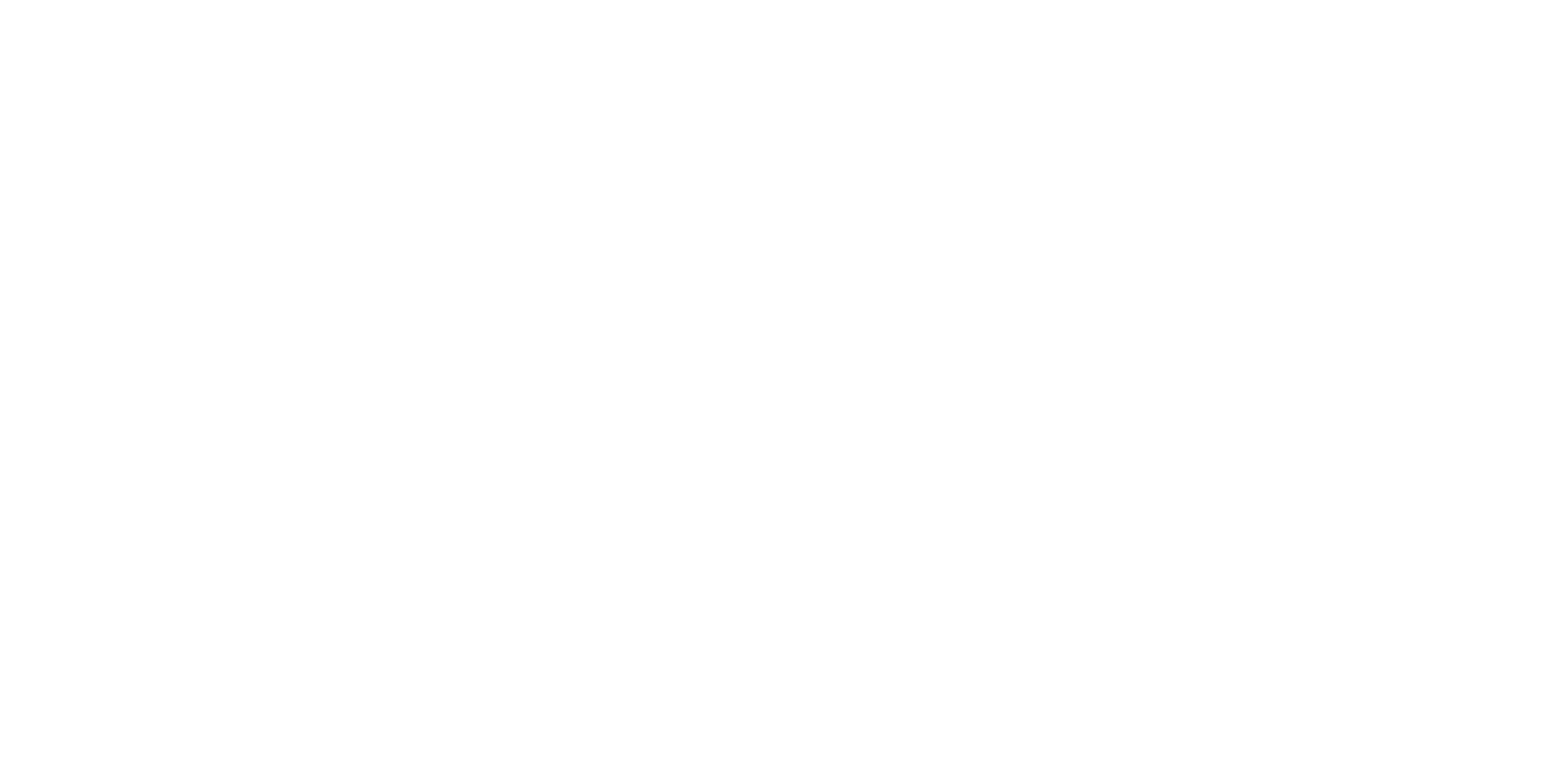Screen Summit Logo