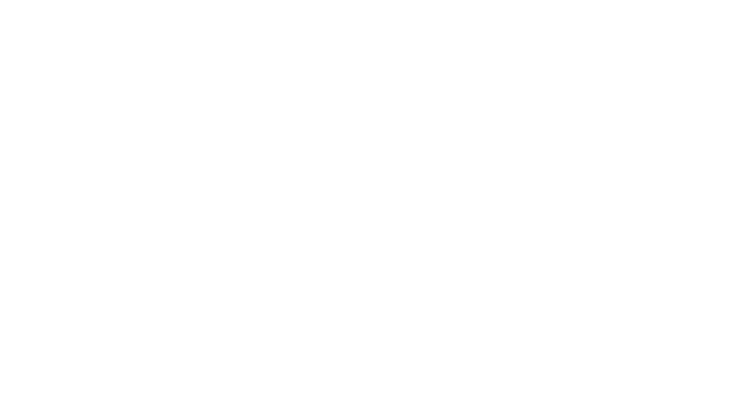 Screen Summit Logo