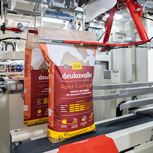 5 key factors for choosing the right bagging machine