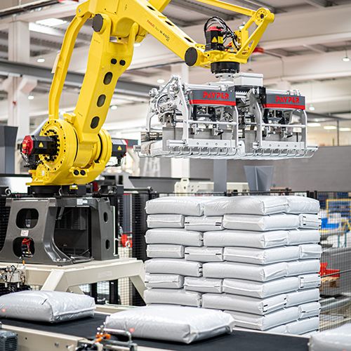Double Gripper Palletizer