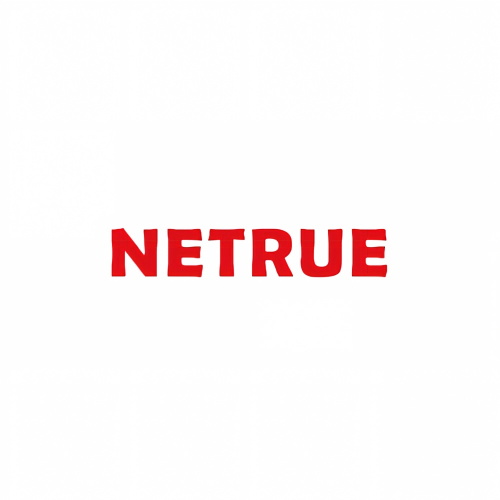 NINGBO YINZHOU NETRUE INTERNATIONAL CO.,LTD
