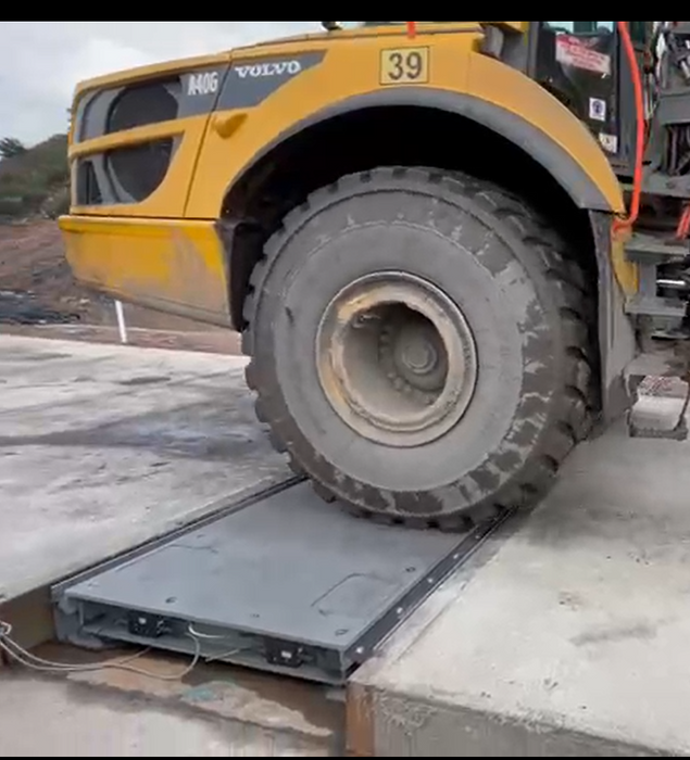 Rhino In-motion Pads