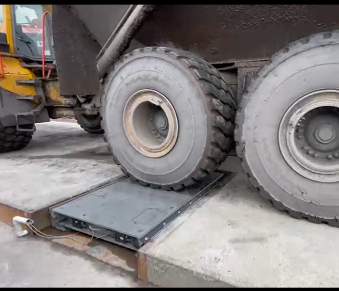 Rhino In-motion Pads