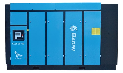 Baofn RS250-2S-VSD