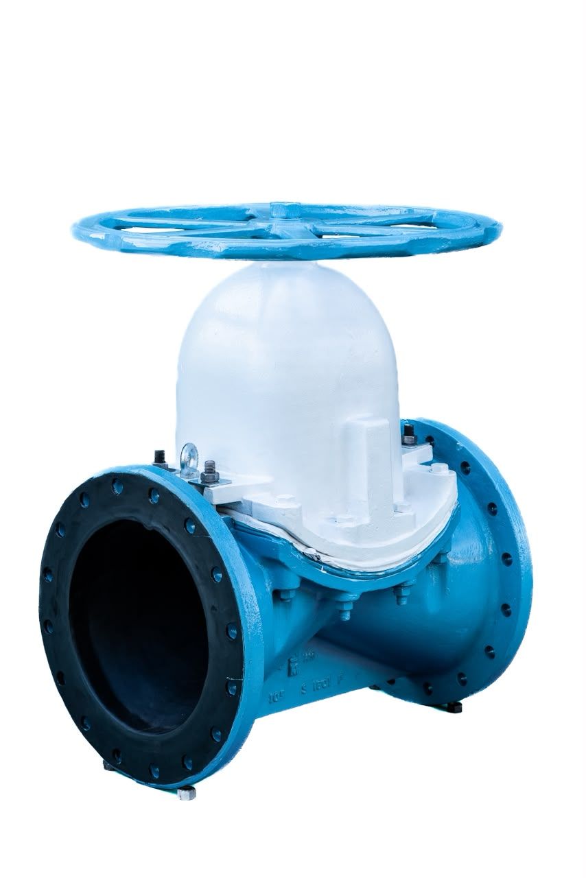 WM Diaphragm Valve