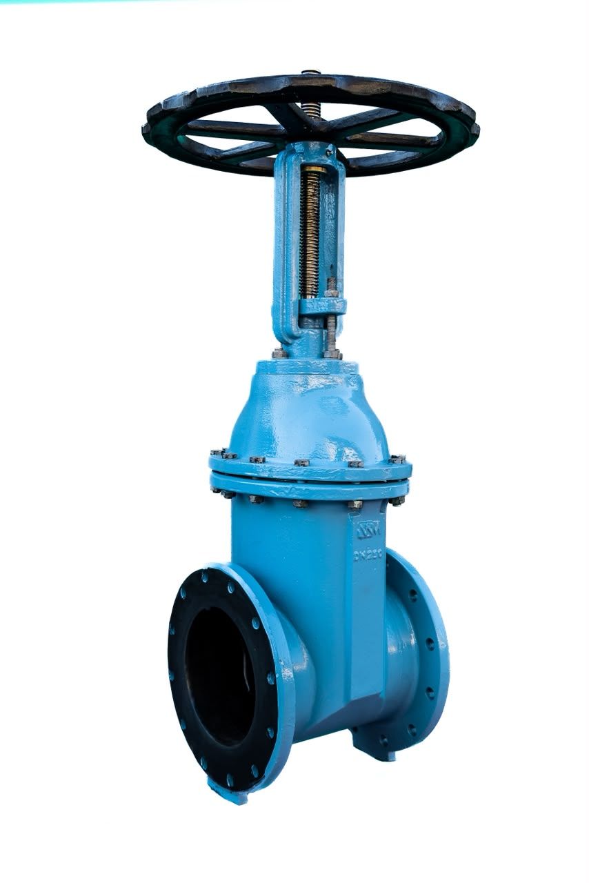 WM Slurry Gate Valve