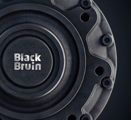 Black Bruin Motors