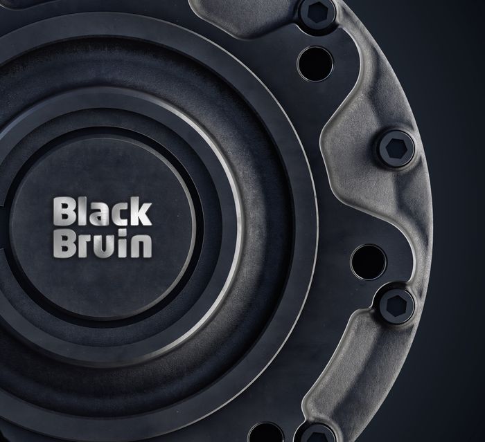 Black Bruin Motors