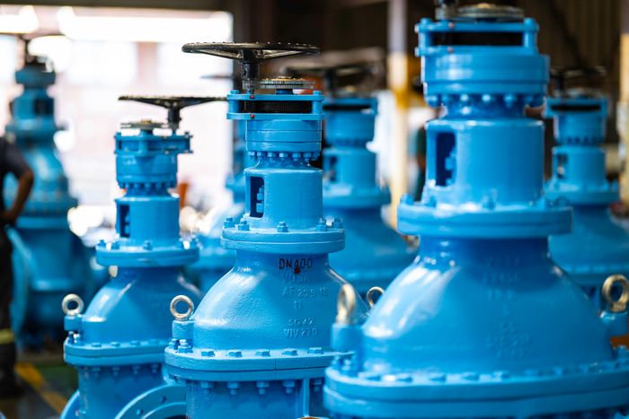 Vosa Wedge Gate Valves