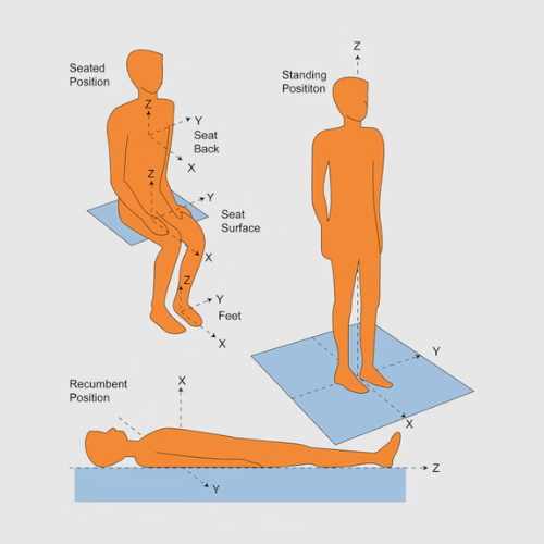 Human Body Vibration - ISO 2631