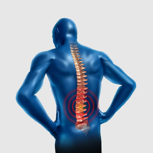 Human Body Vibration - ISO 2631