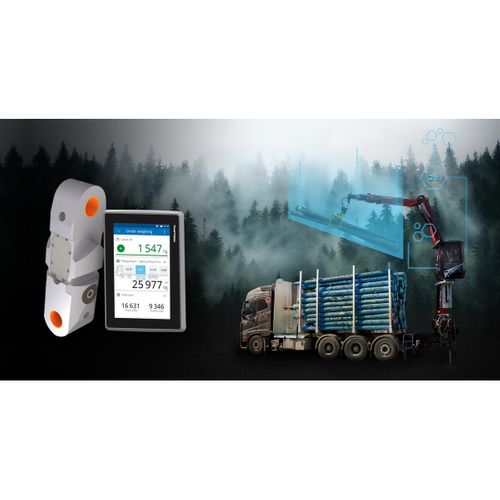 Tamtron - One Timber Crane Scale