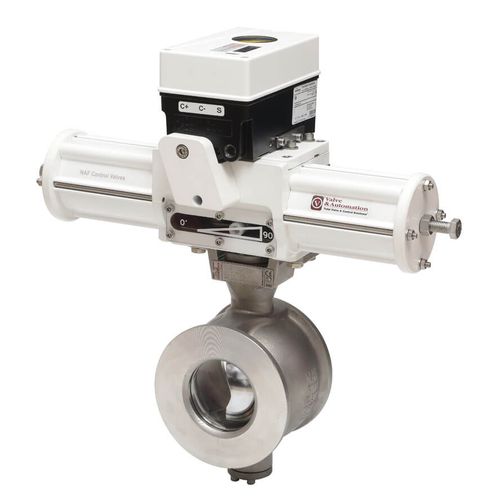 Control Valve - Segment Ball - NAF Setball