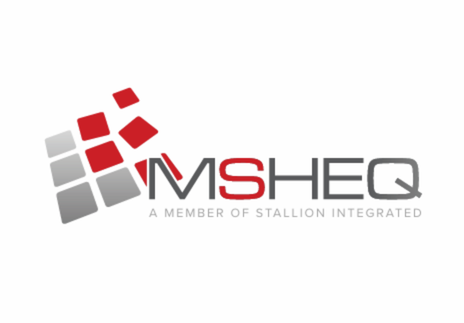 MSHEQ Health and SafetyConsultants