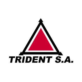 Exhibitor profile image for TRIDENT SA