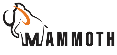 Mammoth Technologies (PTY) LTD