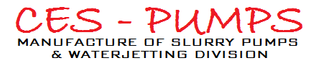 Exhibitor profile image for CES  PUMPS