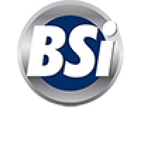 Company name - BSI STEEL
