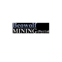 Company name - Beowolf Mining ? Maxdrill