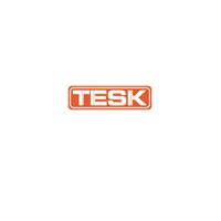 Company name - Tesk
