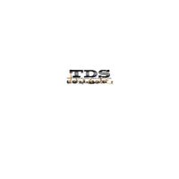 Company name - TDS