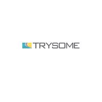 Company name - Trysome Auto Electrical ( Pty) Ltd