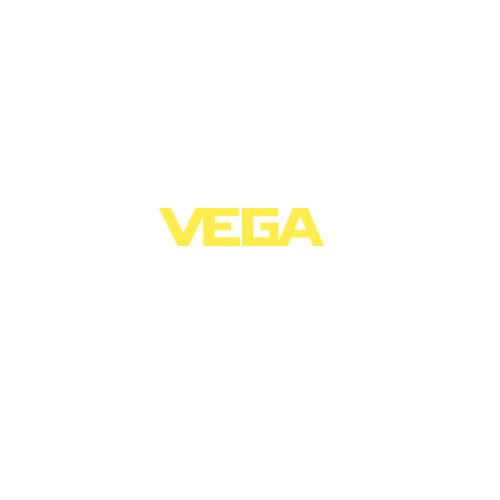 VEGA Controls SA