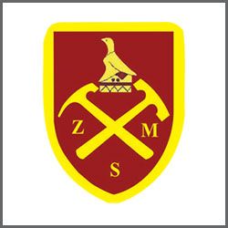 Company logo image for Steven Maritsa