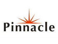 Company name - Pinnacle Welding and Safety (Pty) Ltd
