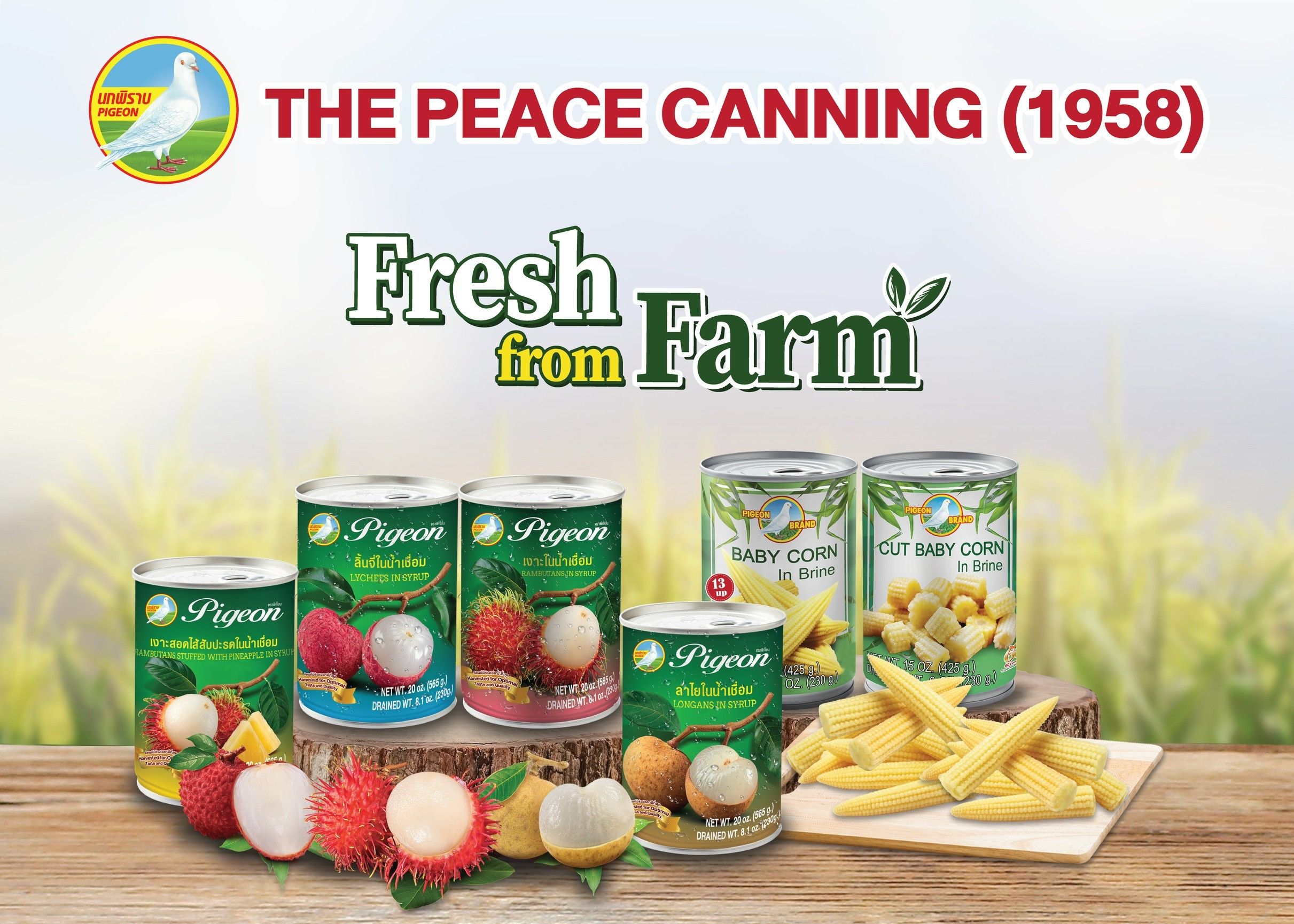 Cover image - Peace Canning