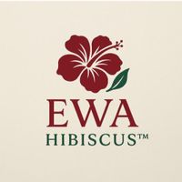 Company name - Ewa 